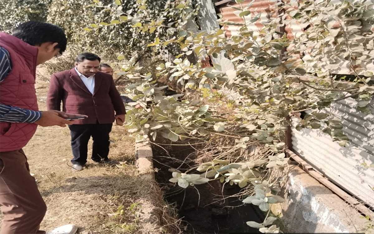 अशोधित सीवर को ड्रेन में डालने पर फर्म पर पांच लाख का जुर्माना